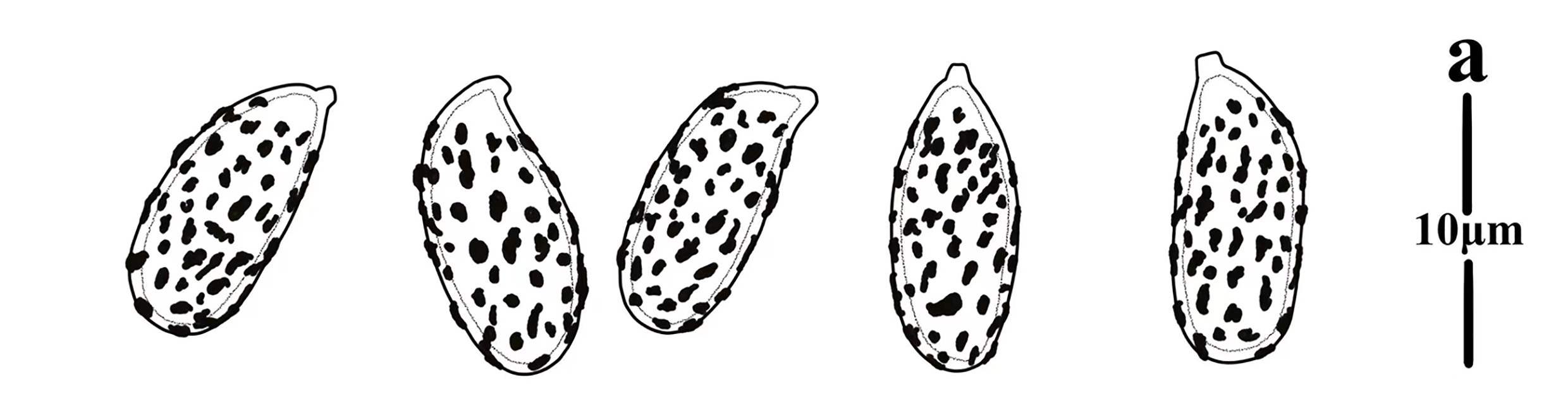 Figure 107